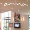 Image of Amina Invisible Speakers