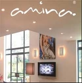 Image of Amina Invisable Speakers
